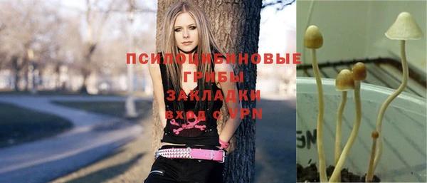 прущая мука Пролетарск