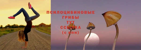 прущая мука Пролетарск