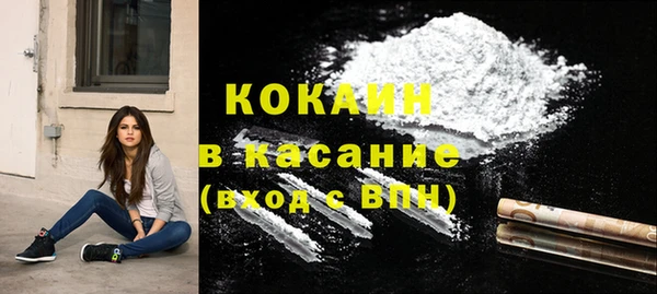шишки Медвежьегорск