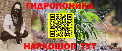 шишки Кимры
