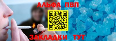 шишки Кимры