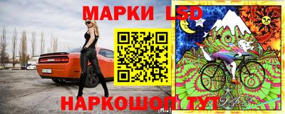 шишки Кимры