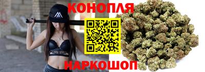 шишки Кимры