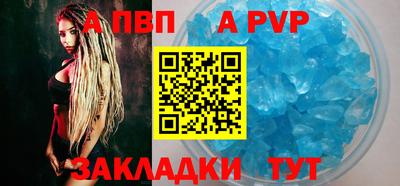 шишки Кимры