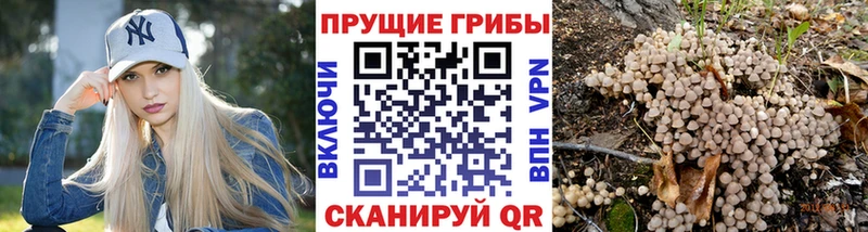 Псилоцибиновые грибы GOLDEN TEACHER  hydra ССЫЛКА  Унеча 
