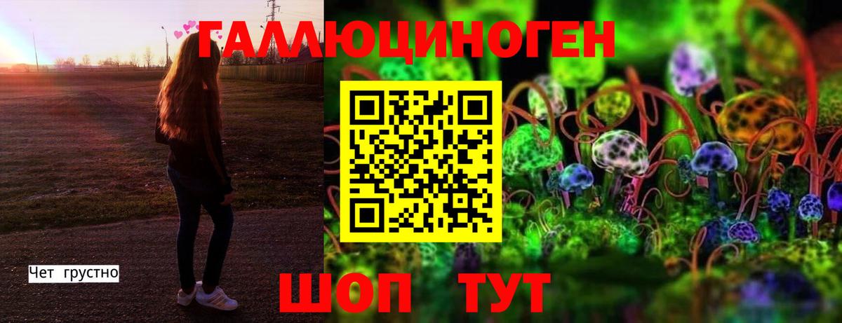 Галлюциногенные грибы мицелий  Вход с VPN  Унеча 