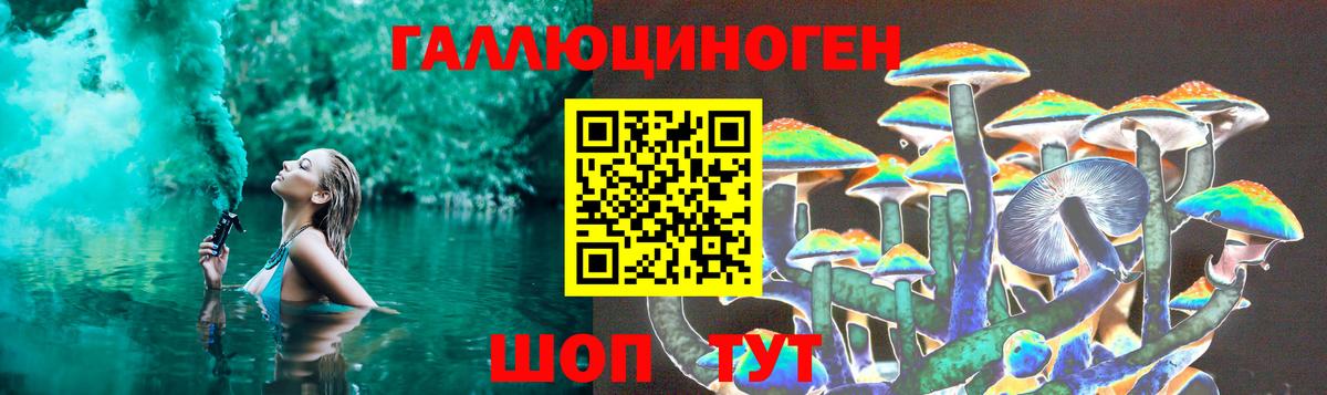 Псилоцибиновые грибы мухоморы  Унеча  Галлюциногенные грибы GOLDEN TEACHER 