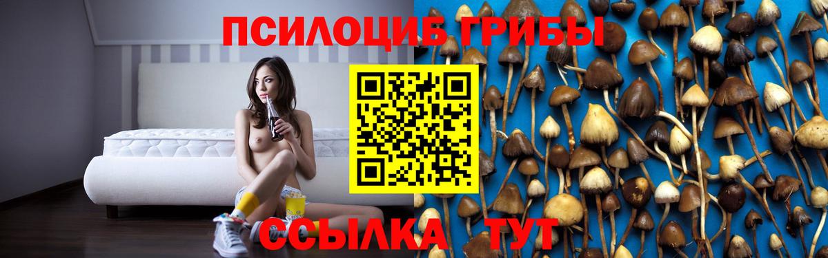 Псилоцибиновые грибы Cubensis Унеча